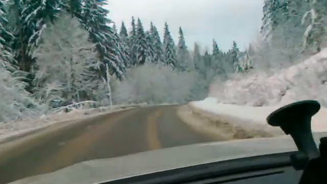 Снег на соснах. 20 ноября, на подъезде к Сортавала смотреть онлайн