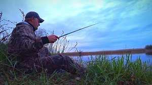 Вечерняя РЫБАЛКА на ПОПЛАВОК для души. 50 кг ВОБЛЫ.