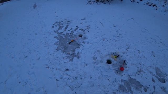 Рыбалка на Хариуса на РЕКЕ со ЛЬДА на зимнюю УДОЧКУ/ Разведка оз. ИНГОЛЬ Первые рыбаки на СЕЛЁДКУ!! смотреть онлайн