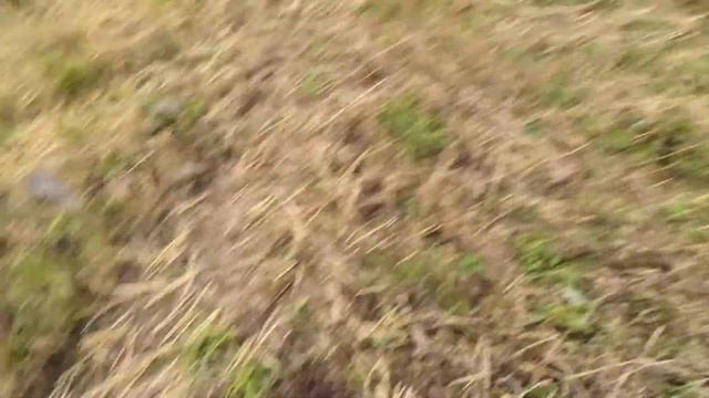 Первое серебро за осень!!! смотреть онлайн