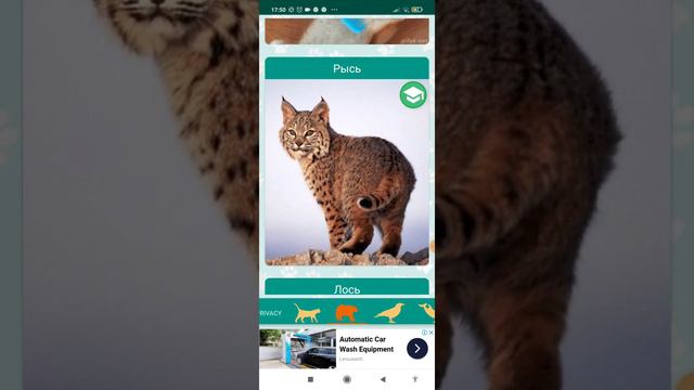 звуки животных част 2 смотреть онлайн