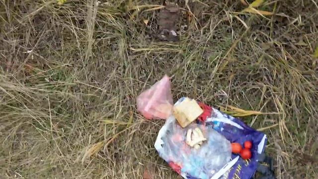 Щука на животку.Рыбалка на Сосьве в Сентябре 2021.Рыбачу на всё. смотреть онлайн