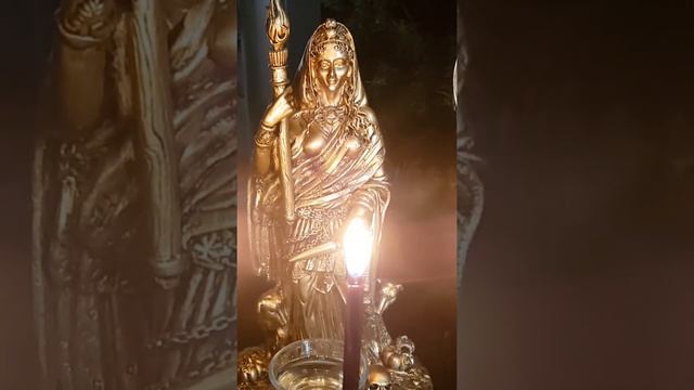 АГРЕССИЯ СО СТОРОНЫ ЖИВОТНЫХ. РЕАКЦИЯ ДЕТЕЙ НА ЧЕЛОВЕКА С ПОРЧЕЙ. СИМПТОМЫ ПОРЧИ смотреть онлайн