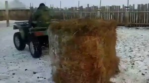 квадроцикл Сармат