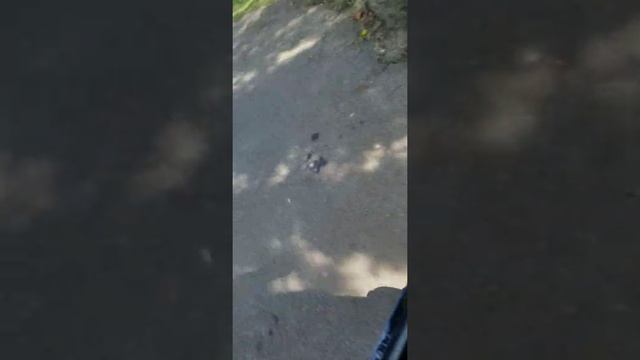 Testing Icon Bit Scooter