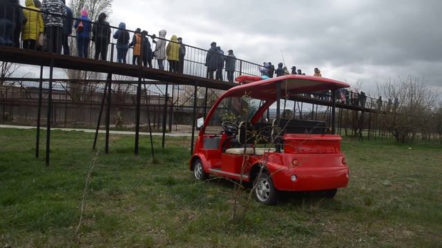 Журналисты среди львов !ЭКСТРИМ РЕПОРТАЖИ !!! смотреть онлайн