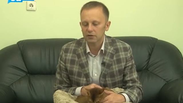 Мухин Александр Валерьевич и его абиссинская кошка смотреть онлайн