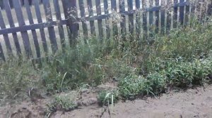 Новая Покупка для Трактора Почва фреза БТЗ 1.8 супер быстрая обработка почвы