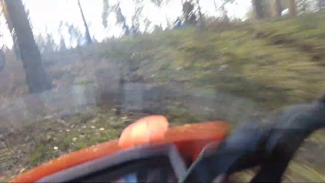 Сосновское 2021 смотреть онлайн