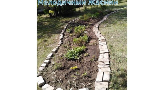 Цветущий город–2020 смотреть онлайн