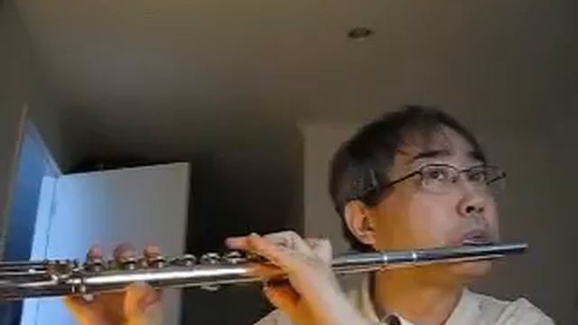 Korea National Anthem - Flute by Won Shik Paik смотреть онлайн