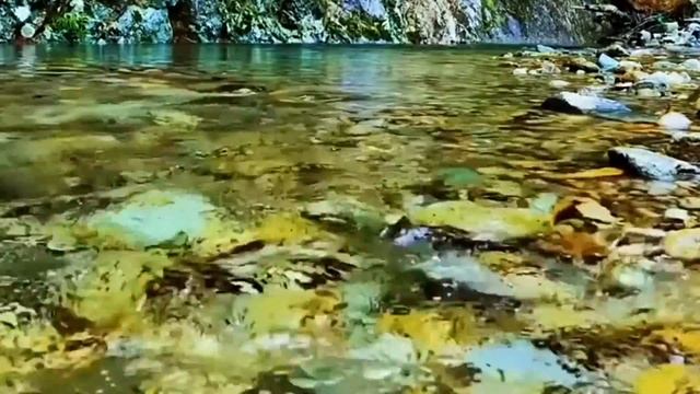 Relaxing Music For Sleep - Relieves Anxiety And Depression, Releases Sleep#8