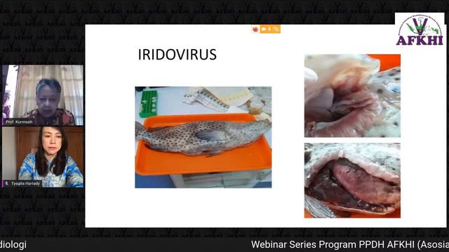 Webinar Sesi pagi 26 September 2020 смотреть онлайн