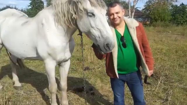 Павел Славянин - Тополь и рябина. (Кавер версия) смотреть онлайн