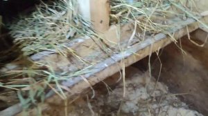 Осушитель подстилки в курятнике.