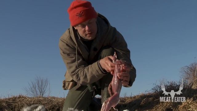 How To Skin And Clean A Rabbit -- Steven Rinella MeatEater