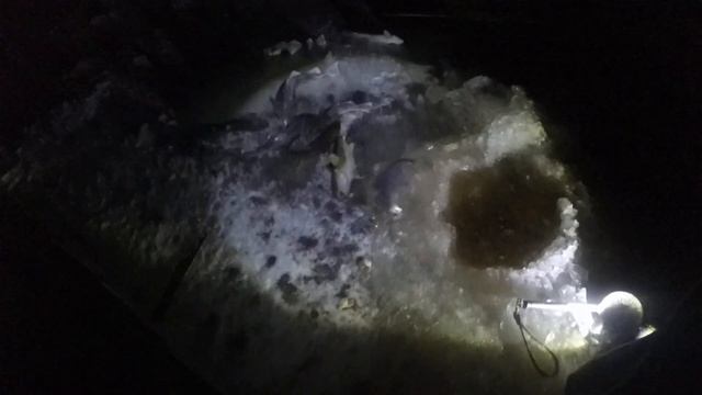 ловля наваги на удочку наживка корюшка смотреть онлайн