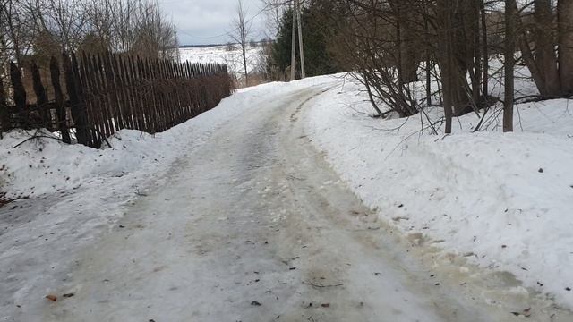 Про дохлого зверька и прививки против бешенства. смотреть онлайн