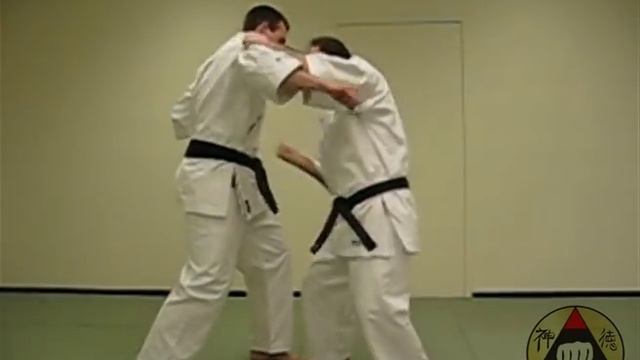 Okinawa Shorin-ryu Karate: Assorted Kata Bunkai (clip 1)