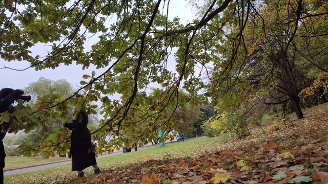 Фотосессия в плохую погоду. смотреть онлайн