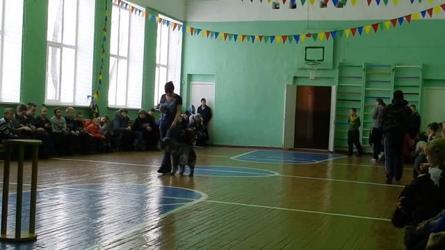 Школа-интернат №4 поездка 15.02.14 г. смотреть онлайн