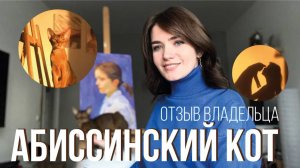 АБИССИНСКИЙ КОТ. Отзыв владельца.