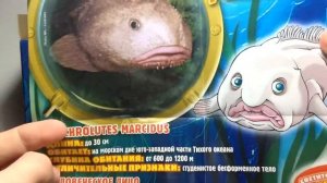 СЮРПРИЗЫ-пакетики МОРСКИЕ МОНСТРЫ & Ко от DeAGOSTINI 2 Часть Найдём ли РЫБУ-КАПЛЮ? Забавные ИГРУШКИ