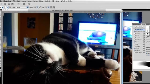 How to Use Lightroom for HDR смотреть онлайн