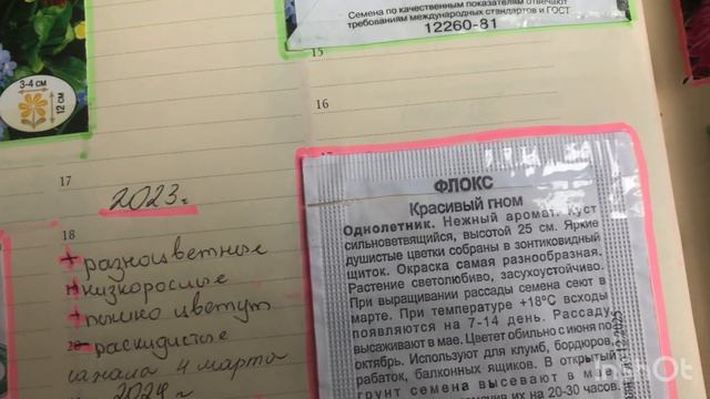 Сажаем флоксы на рассаду. Флокс красивый гном. флокс Друммонда летний микс. Часть 1. смотреть онлайн