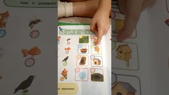 Годовой курс занятий смотреть онлайн