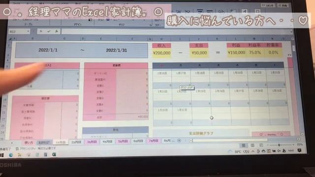 Excel家計簿/フォーマット/自動分析機能/開始日自由/iPad使用可能/印刷イメージ/入力方法/開始月自由/項目たっぷりver【詳細説明】