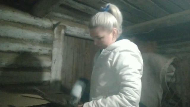 500 яиц в год теперь она снесет. Наконец я это сделала в своем курятнике! смотреть онлайн