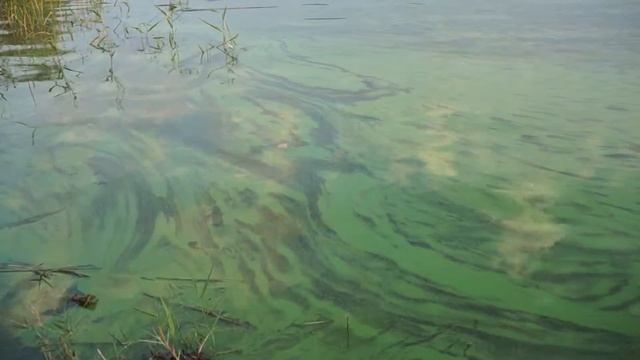 река Аксай, август 2015, рыбалка смотреть онлайн