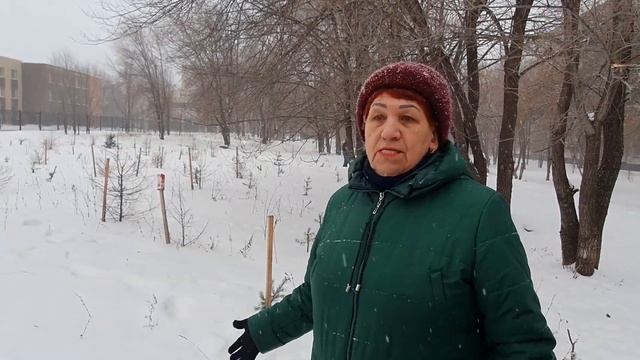 Бизнес опять позарился на сквер в 24-комплексе Челнов? Местные жители готовы дать бой смотреть онлайн