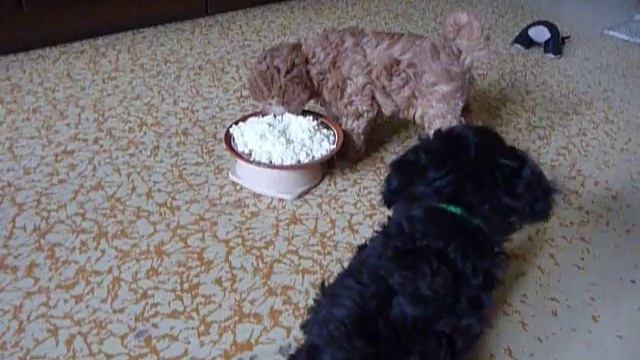 P1140494 смотреть онлайн