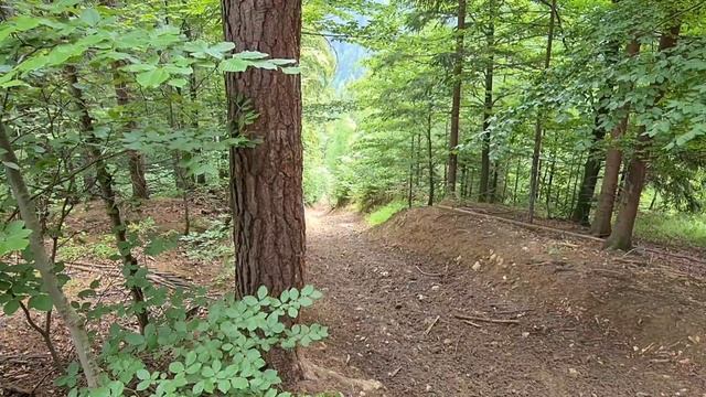 Enduro Suzuki RMZ450 And KTM300