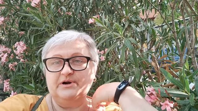 Визит в медико социальную экспертизу смотреть онлайн
