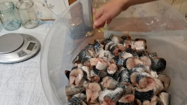 Консерва из скумбрии в автоклаве. смотреть онлайн