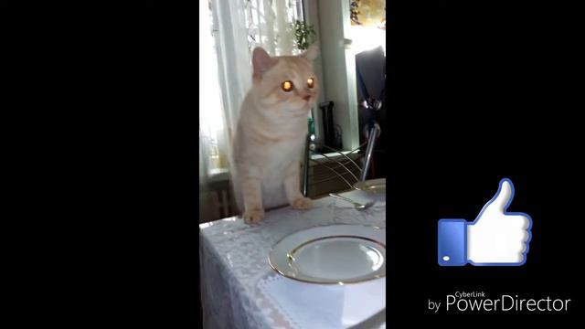 Когда хочешь есть... смотреть онлайн