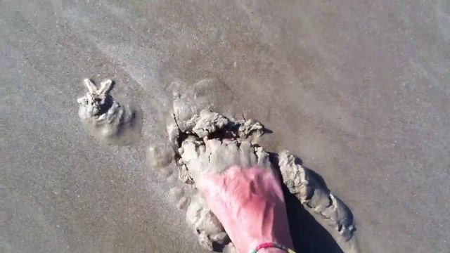 Аравийское море , морская звезда смотреть онлайн