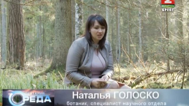 Среда обитания 19 11 13 смотреть онлайн