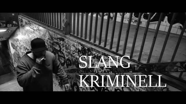 Sophia Thomalla/Slang Kriminell - Fler (Instrumental) by Detain смотреть онлайн