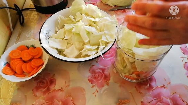 Интересные Факты о Животных