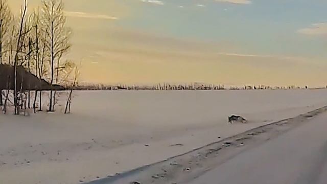 Юго-западные районы Башкирии - версия для мобильного смотреть онлайн