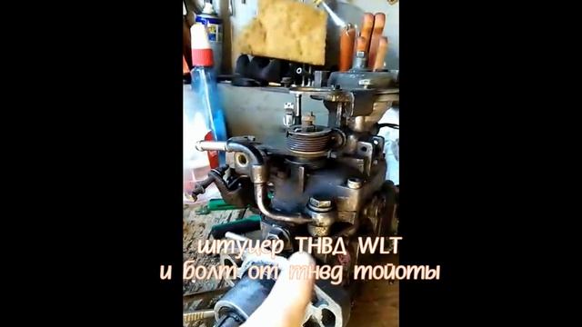 Как снять сеточку ТНВД WLT Мазда МПВ-1 Mazda MPV-1 WLT LVLR. ЭТО вы не знали! смотреть онлайн