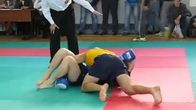 Кубок северного региона Украины по хортингу 2014 года. 04 октября, г. Ирпень, Киевская область смотреть онлайн