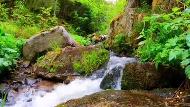 РЕКА смотреть онлайн