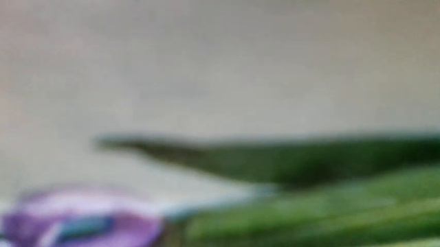Декабря звучат напевы,значит время(Говорят: «Под Новый год,что ни пожелается,всё всегда»(наброски) смотреть онлайн