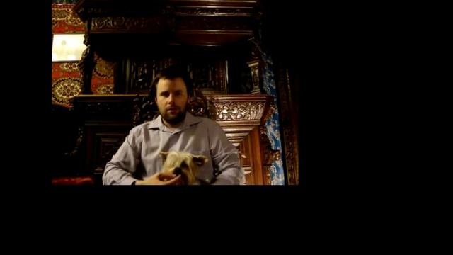 Физика бобра и математика точки ★ 2018г. наука о вселенной ★ ✔фильм на _Катющик ТВ_ смотреть онлайн