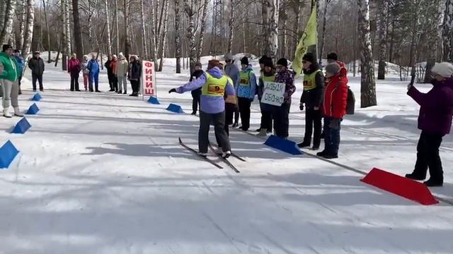 Лыжня, Академгородок Новосибирск смотреть онлайн
